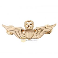 Metal Wings Badges