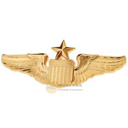 Metal Wings Badges