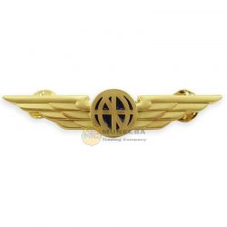 Metal Wings Badges
